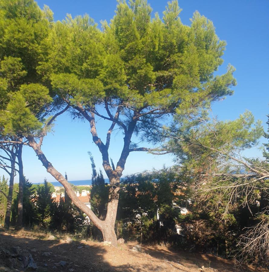 T2 Vue Mer Avec Parking Prive Saint-Pierre-la-Mer  Buitenkant foto
